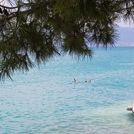 Panorama * Τρογκίρ